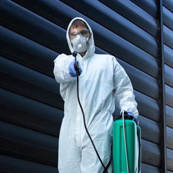 why-choose-us-banner